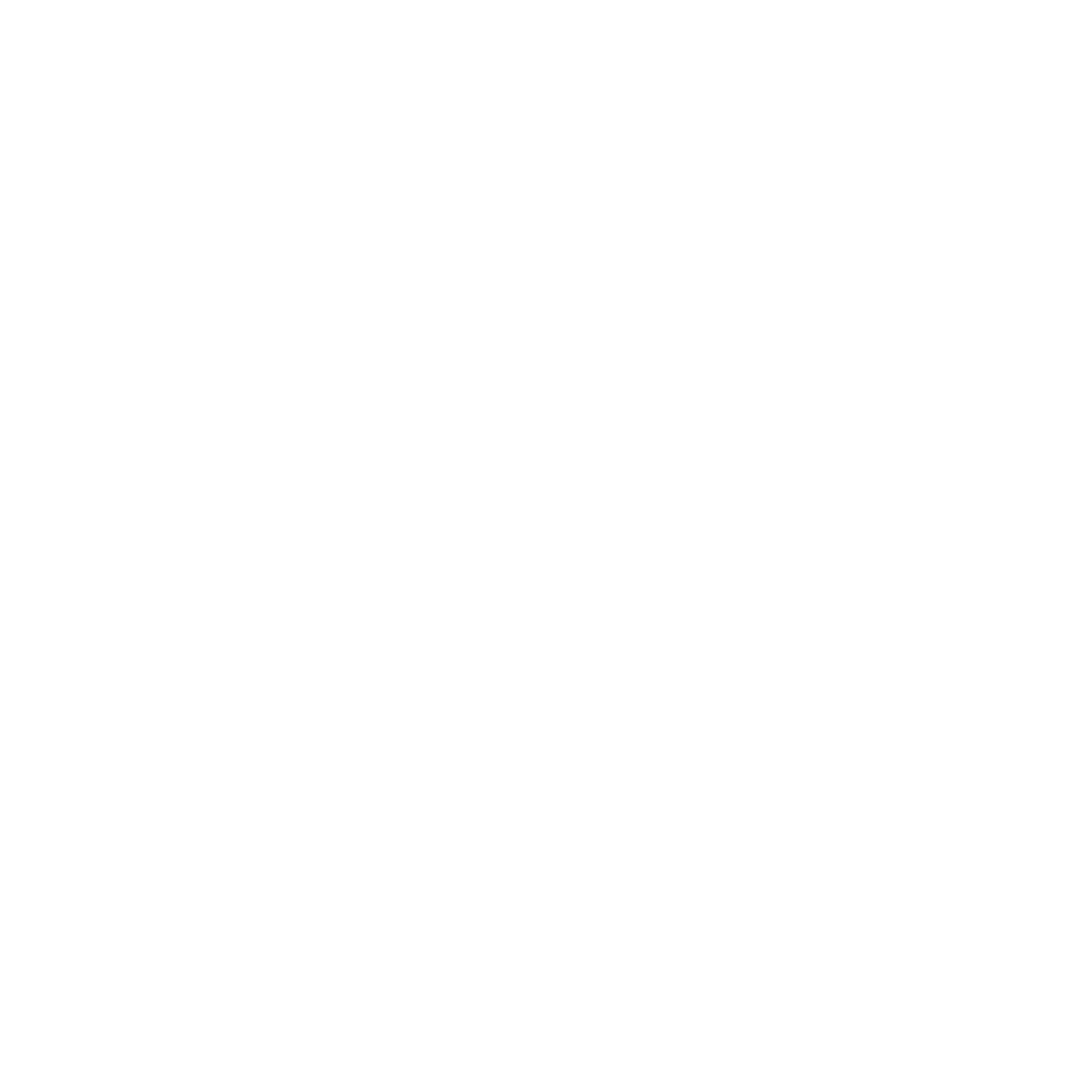 Logo do Ace Space Environment